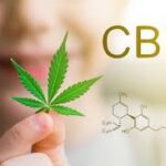 Articulos con CBD
